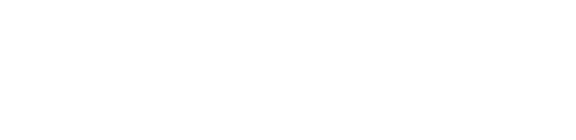 VNS Digital